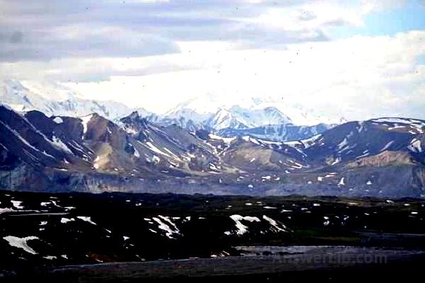 Denali Scenery