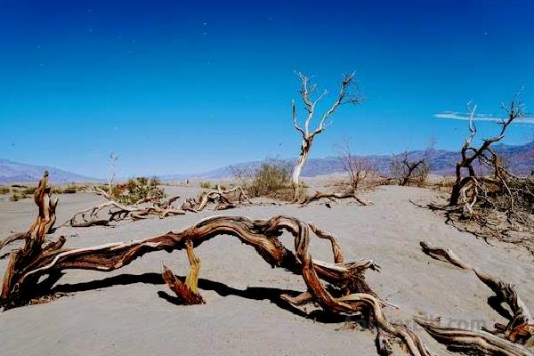 @ Death Valley National Park