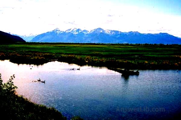 Potter Marsh Wildlife Viewing2