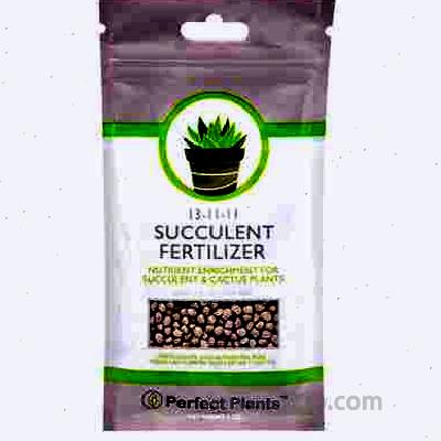 Succulent and Cactus Fertilizer | Long Lasting Gentle Plant Food Formula for All Live Succulents