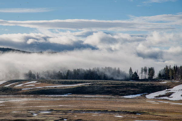 Hayden Valley of Yellowstone