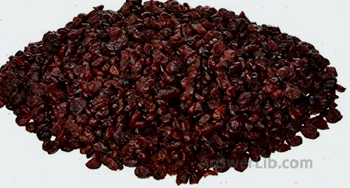 Traverse bay dried cranberry dried