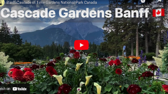 Cascades of Time Garden Video 1