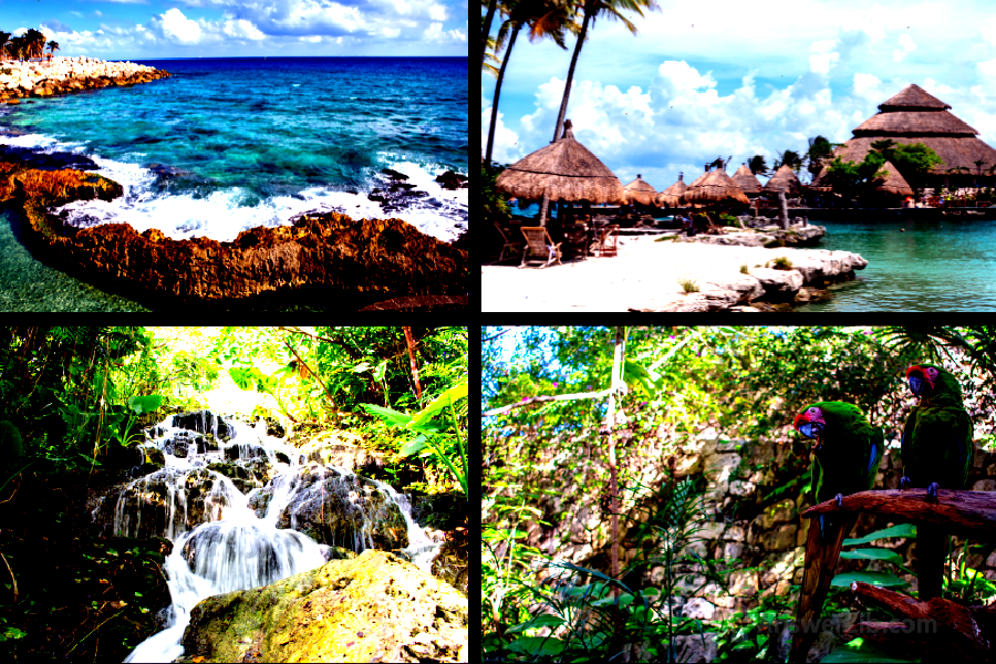 XCaret Park