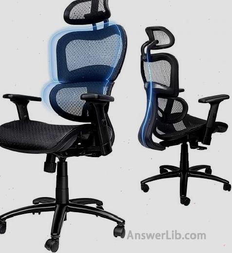 The most comfortable office chair: Ericousit Ericonomic Office Chair