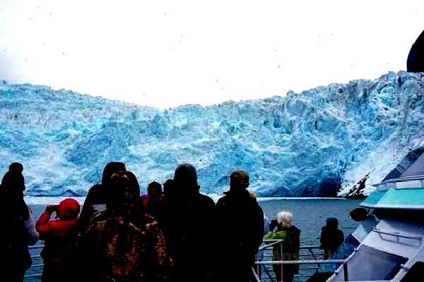 Seward Cruise