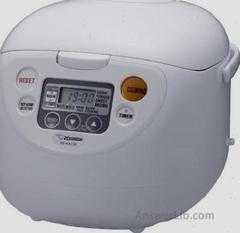 Zojirushi NS WAC18 WD 10 Cup Micom Rice Cooker