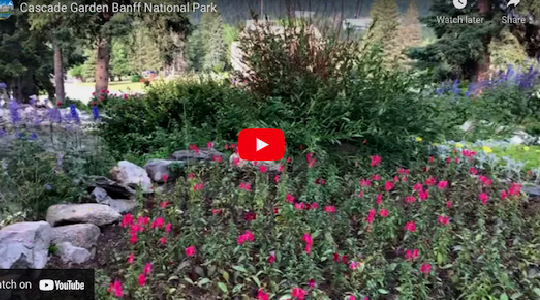 Cascades of Time Garden Video 2