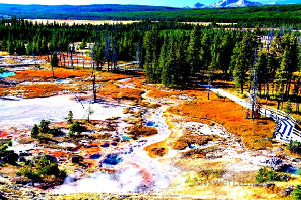 Norris Geyser Basin