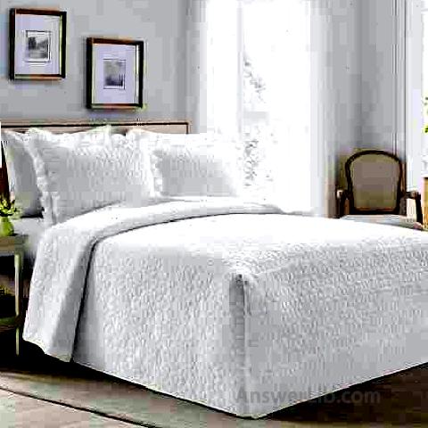 Best French bed cover: Lush Decor French Country Geo Ruffle Bedding, 3-PIECE BEDSPREAD SET