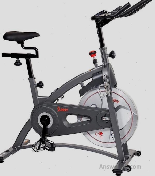 Sunny Health and Fitness dynamic bicycle