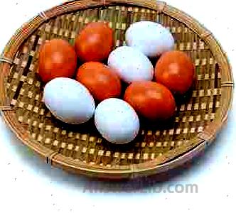 SallyFashion Wooden Fake Eggs