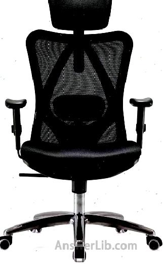 The highest cost-effective office chair: SiHoo Office Chair Eric Office Chair