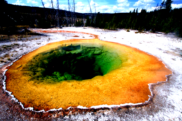 Morning Glory Pool