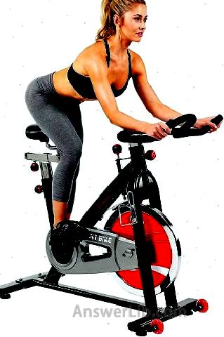 Sunny Health Fitness Indoor Cycle Exercise Bike 319x480 1