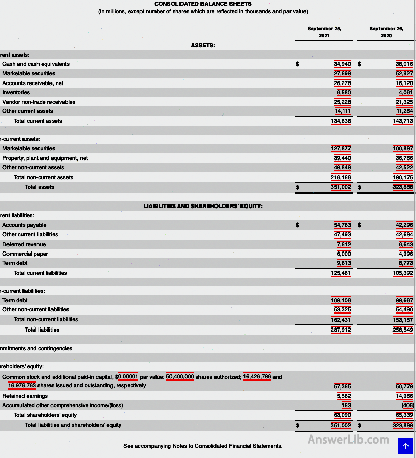 Apple Asset Liabilities