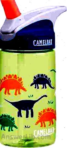 CamelBak eddy Kids BPA Free Water Bottle