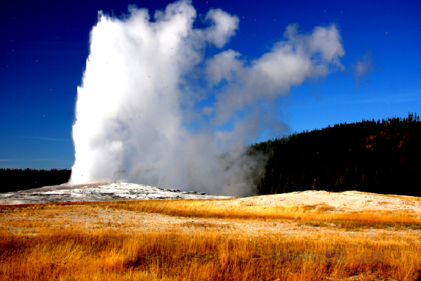 Old Faithful Geyser