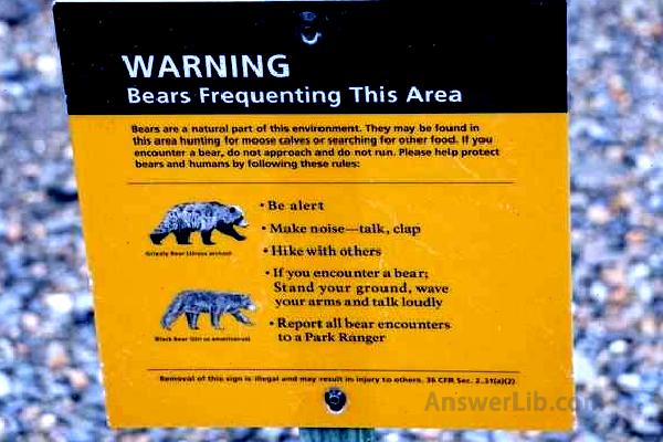 Denali Bear Warning