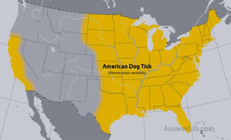 Approximate distribution of the American dog tick in the United States of America