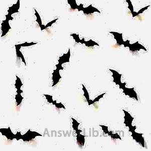 DIY Halloween Party Supplies PVC 3D Decorative Scary Bats Wall Decal Wall Sticker