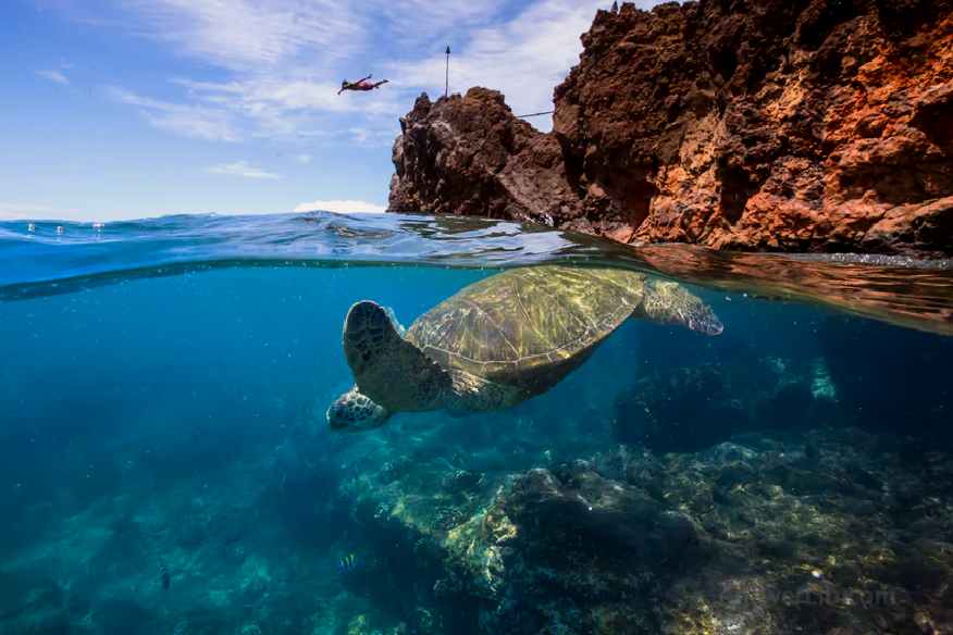 Maoyi Island snorkeling