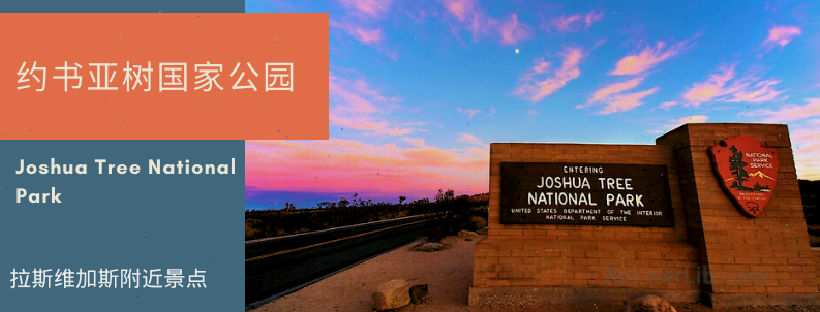 6.Joshua Tree National Park