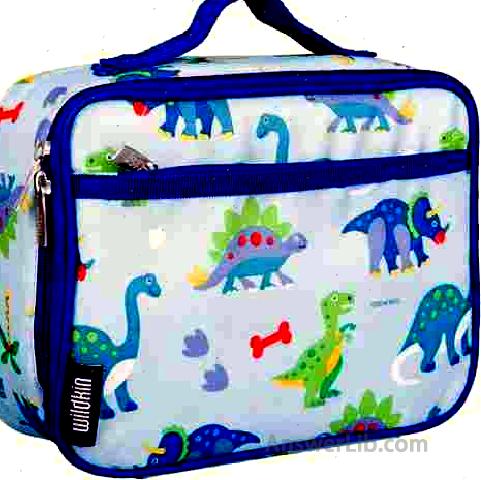 Wildkin Kids Insulated Lunch Box Bag