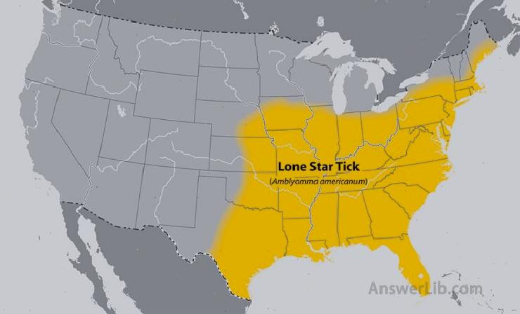 Map of the United States showing the approximate distribution of the Lone Star tick.The area affected is the eatern half of the country.