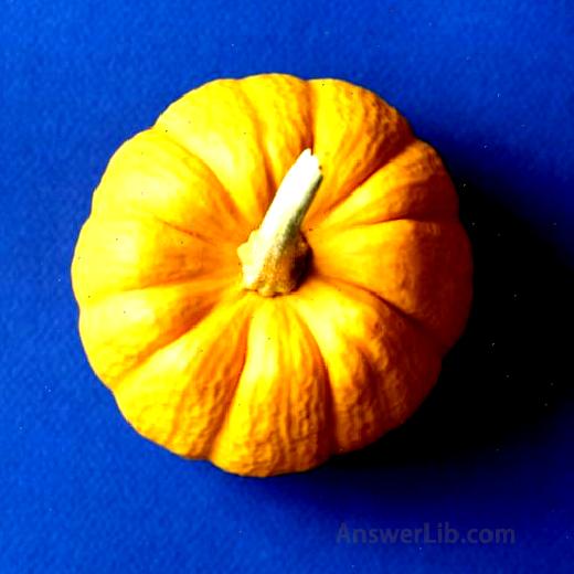 Christmas pumpkin