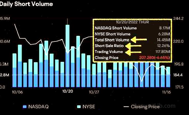 Daily Short Volume Details