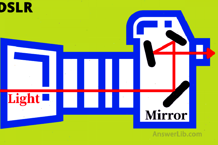 DSLR vs Mirrorless