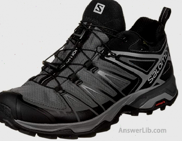 Best Foot Protection Mountaineering Shoes [Men]: Salomon X Ultra 3 GTX Men's Hiking Shoes