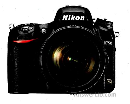 Nikon D750 w 24 120mm B0060MVLXC