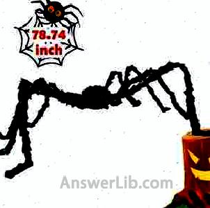 6.5ft Large Halloween Decorations Outdoor Spider Posable Furry Black Giant Scary Fuzzy Spiders