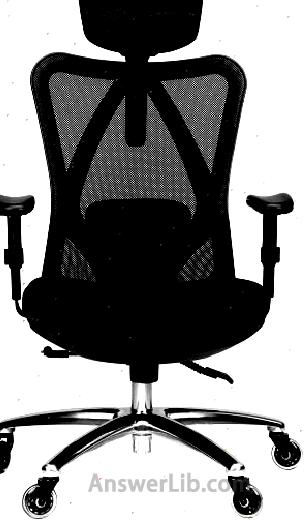 The most cheap office chair: Duramont Ergonomic Adjustable Office Chair