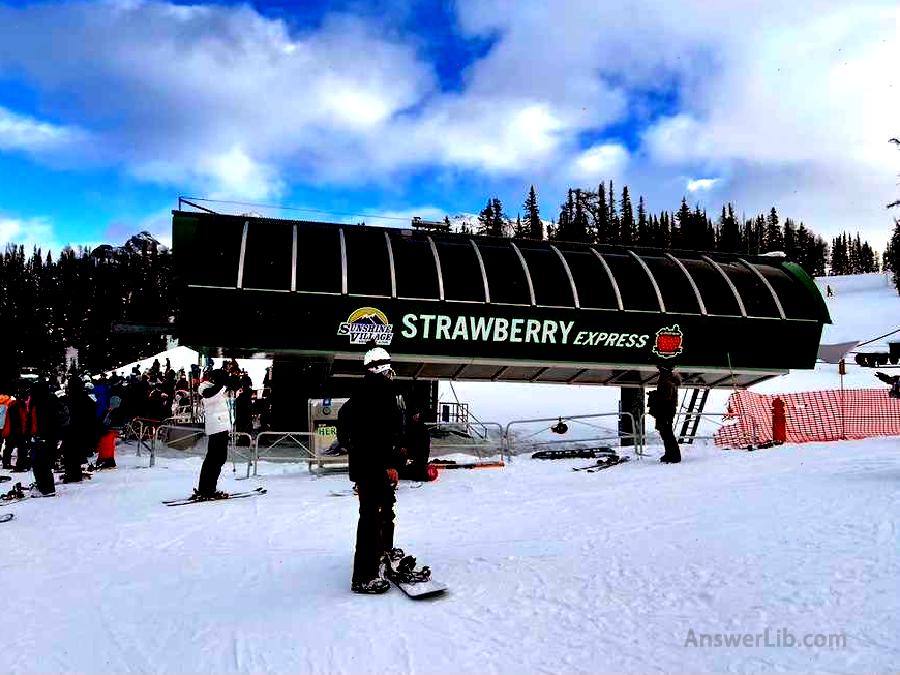 Stawberry Express at Sunshine Village