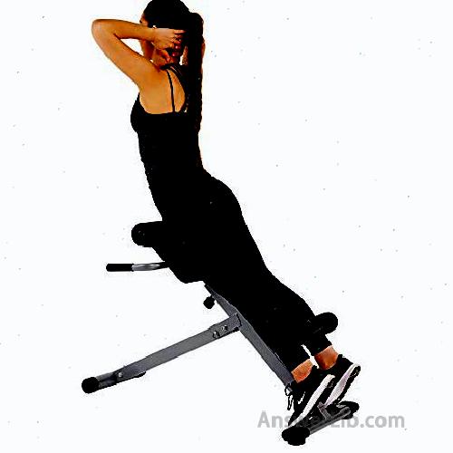 Sunny Health & Fitness 45 Degree Roman Chair with Adjustable