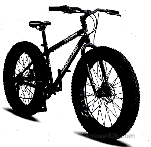 Mongoose Malus Fat Tire Bike