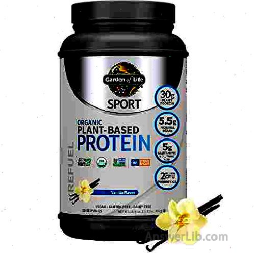 Organic Vegan Sport Protein Powder plant protein