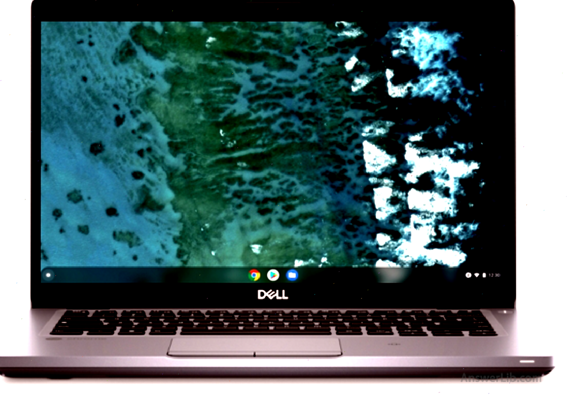 The best cost-effective Dell business laptop: Latitude 5400 Chromebook Enterprise \\\\\\\\\\\\\\\\\\\\\\\\\\\\\\\\\\\\\\\\\\\\\\\\ n