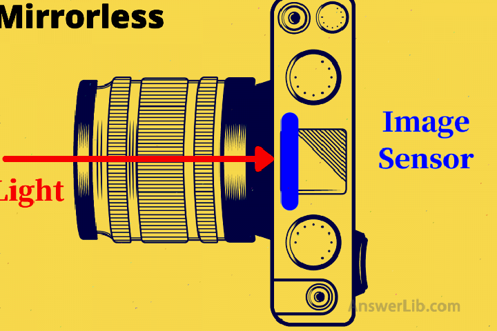 DSLR vs Mirrorless 1