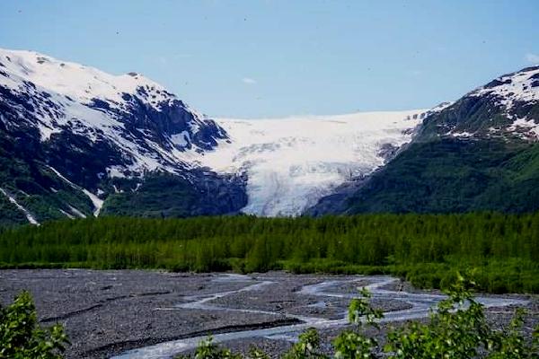 Exit Glacier 3