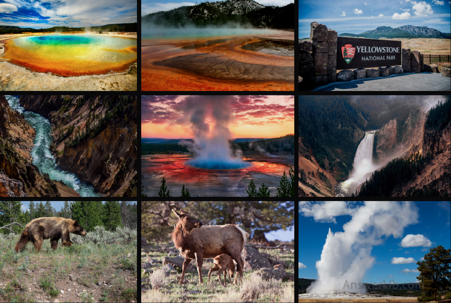 Yellowstone points of interest pictures