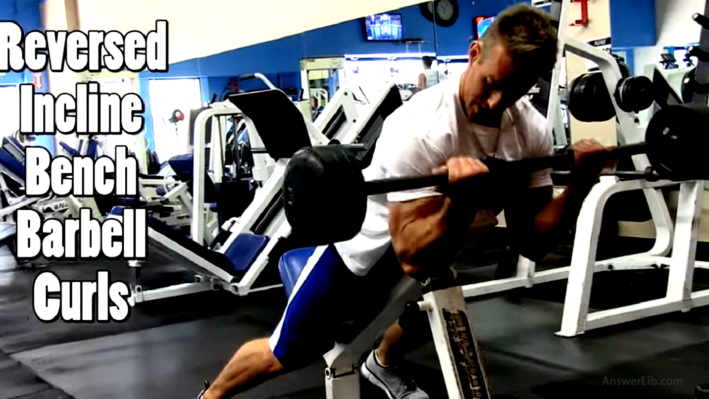 Use barbells to proclapse the bend (Prone Incline Curl)