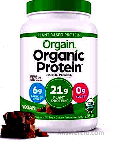 ORGAIN ORGANIC VEgan Protein Powder plant protein powder