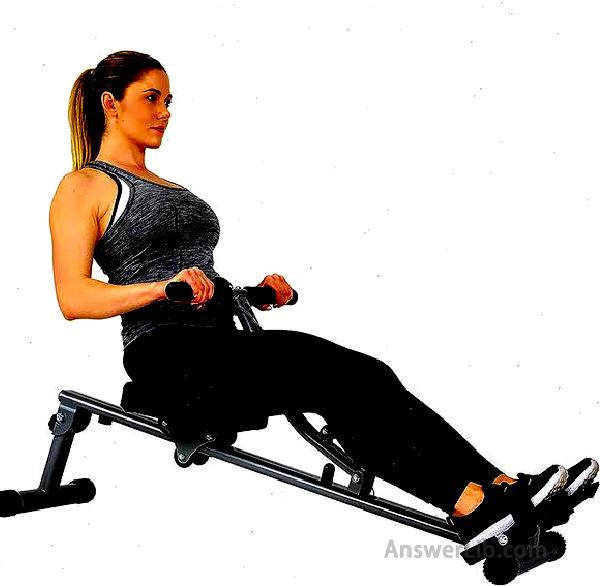 Sunny Health Fitness SF RW1205 Rowing Machine Rower with 12 Level Adjustable Resistance