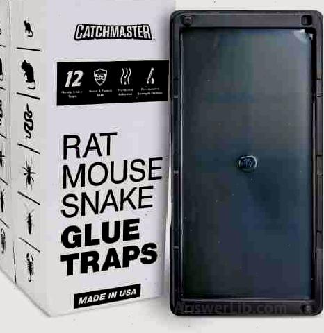 Catchmaster sticky mouse board