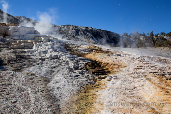 Mammoth Hot Springs 1