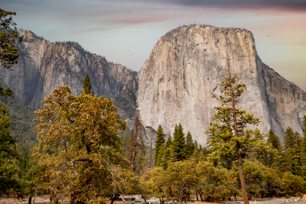 El Capitan of Yosemite